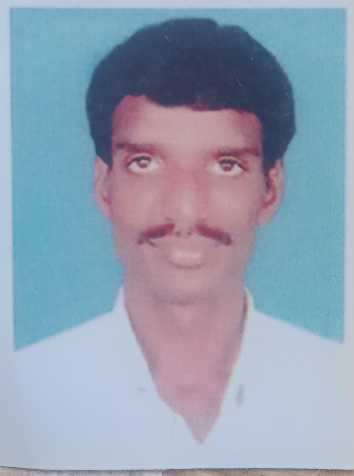staff Member